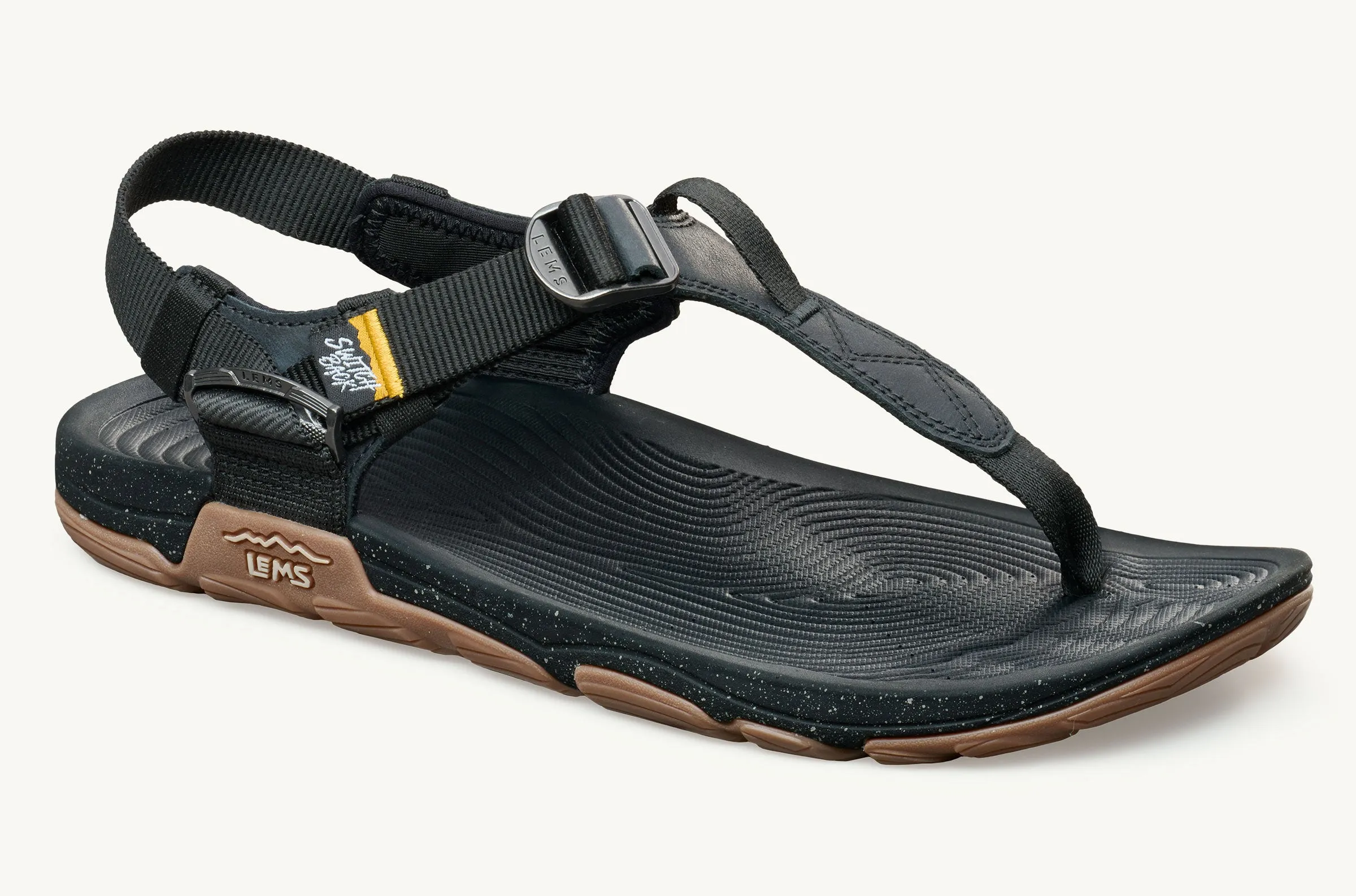 Men's Switchback Sandal