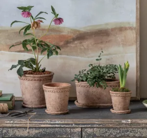 Scallop Terracotta Planter