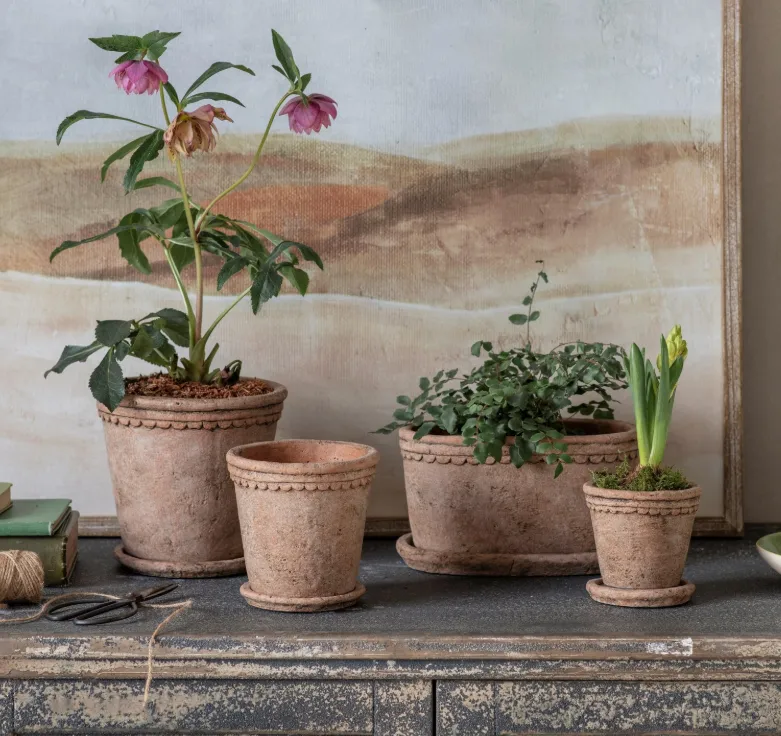 Scallop Terracotta Planter